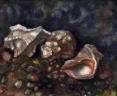 'Cockleshells at coast'. (watercolours on paper).